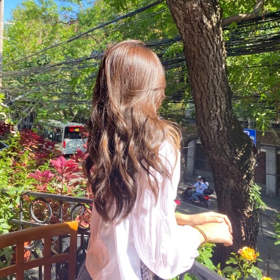 奥菲斯